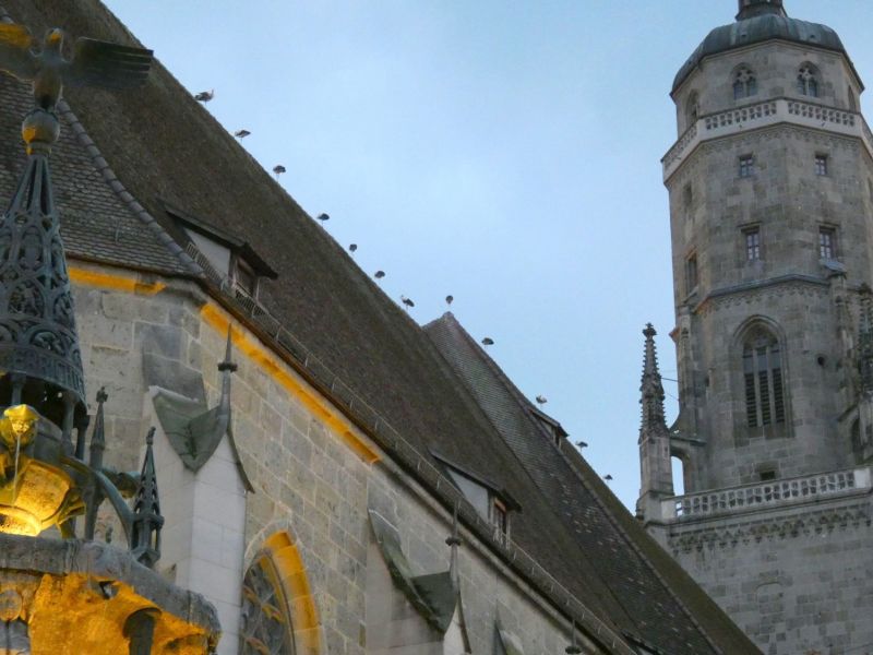 Störche auf der Kirche mit dem Daniel im Hintergrund - Bild: Heidi Källner