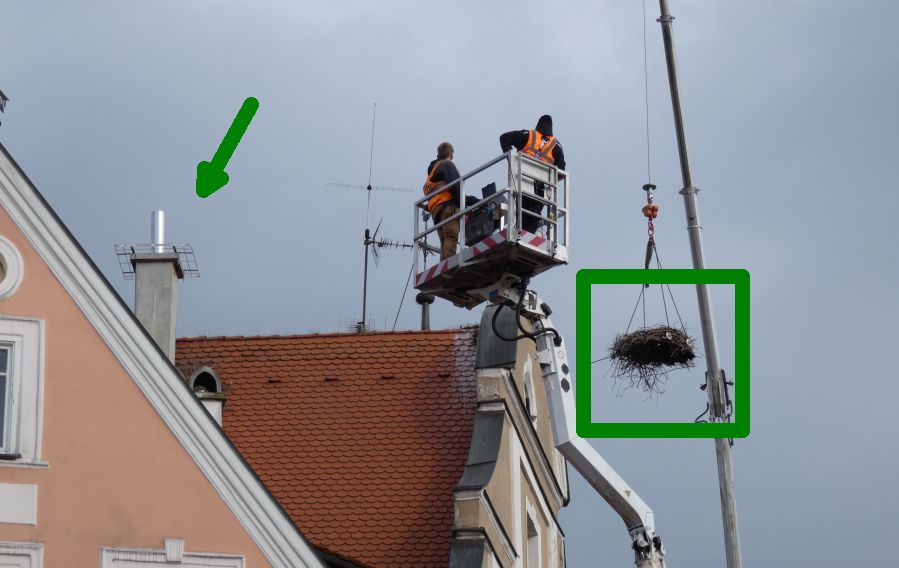 Das Nest hängt frei in der Luft – bereit für den Transport – Bild: Heidi Källner