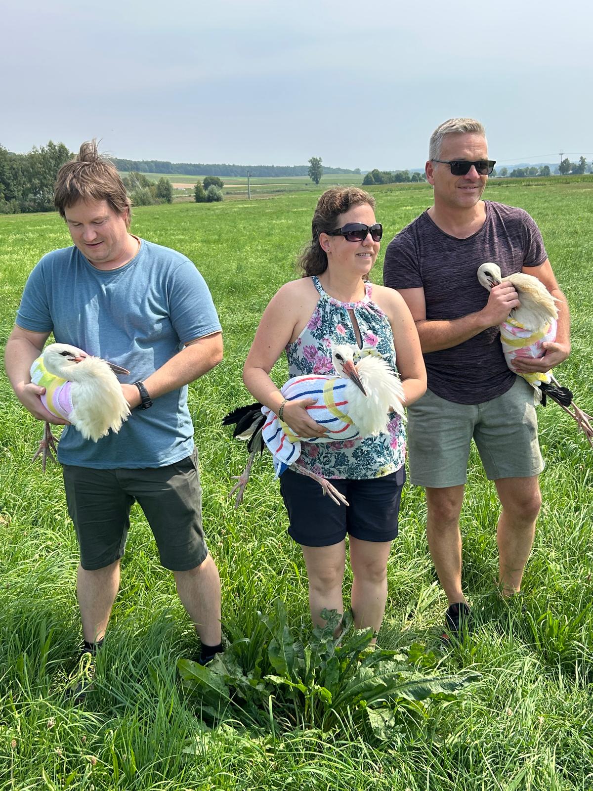 Drei Mitglieder der Storchenfreunde mit jungen Weißstörchen auf einer Wiese